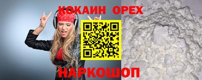 mdpv Гатчина