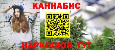 mdpv Гатчина