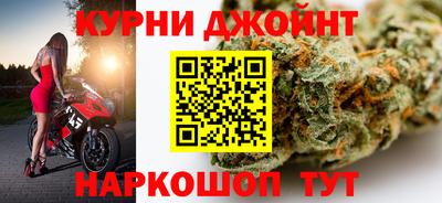 индика Гай