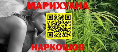 индика Гай