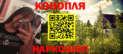 mdpv Гатчина