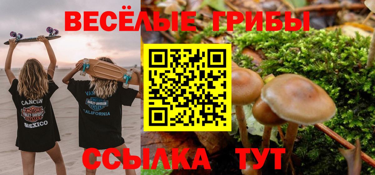 Псилоцибиновые грибы Magic Shrooms  Псилоцибиновые грибы Psilocybine cubensis  Вход с VPN  Арсеньев 