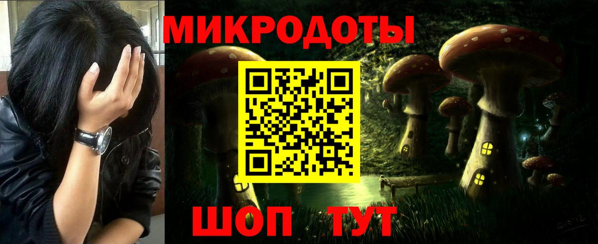 Галлюциногенные грибы Cubensis Арсеньев